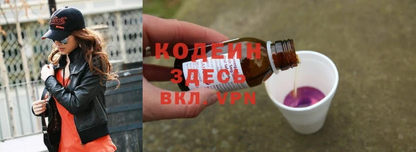 ГАЛЛЮЦИНОГЕННЫЕ ГРИБЫ Корсаков