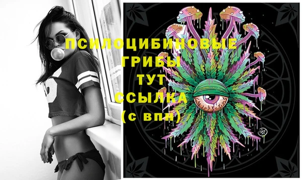 твердый Алексеевка