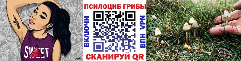 Галлюциногенные грибы Magic Shrooms  МЕГА tor  Белоярский  купить наркотик 
